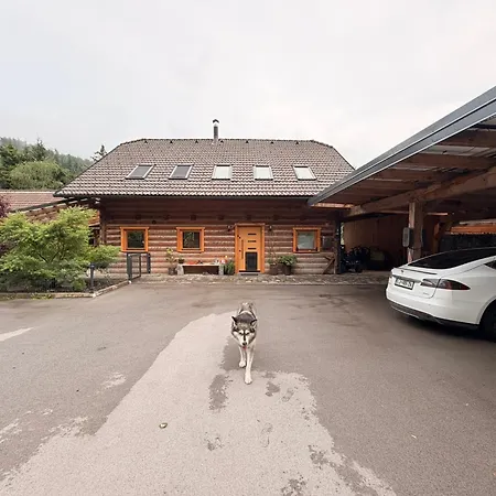 The Sawmill Loft 采尔克尼察