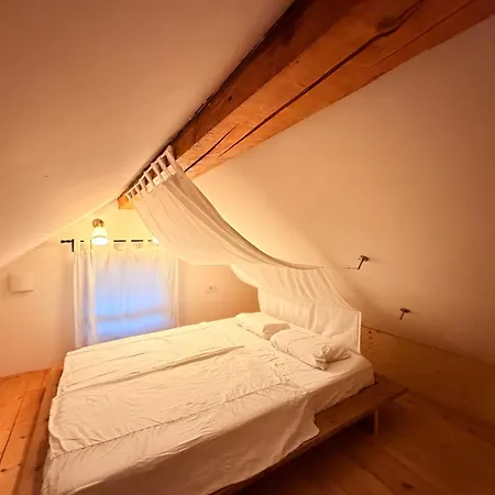 The Sawmill Loft 采尔克尼察
