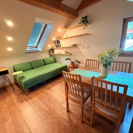 The Sawmill Loft ツェルクニツァ